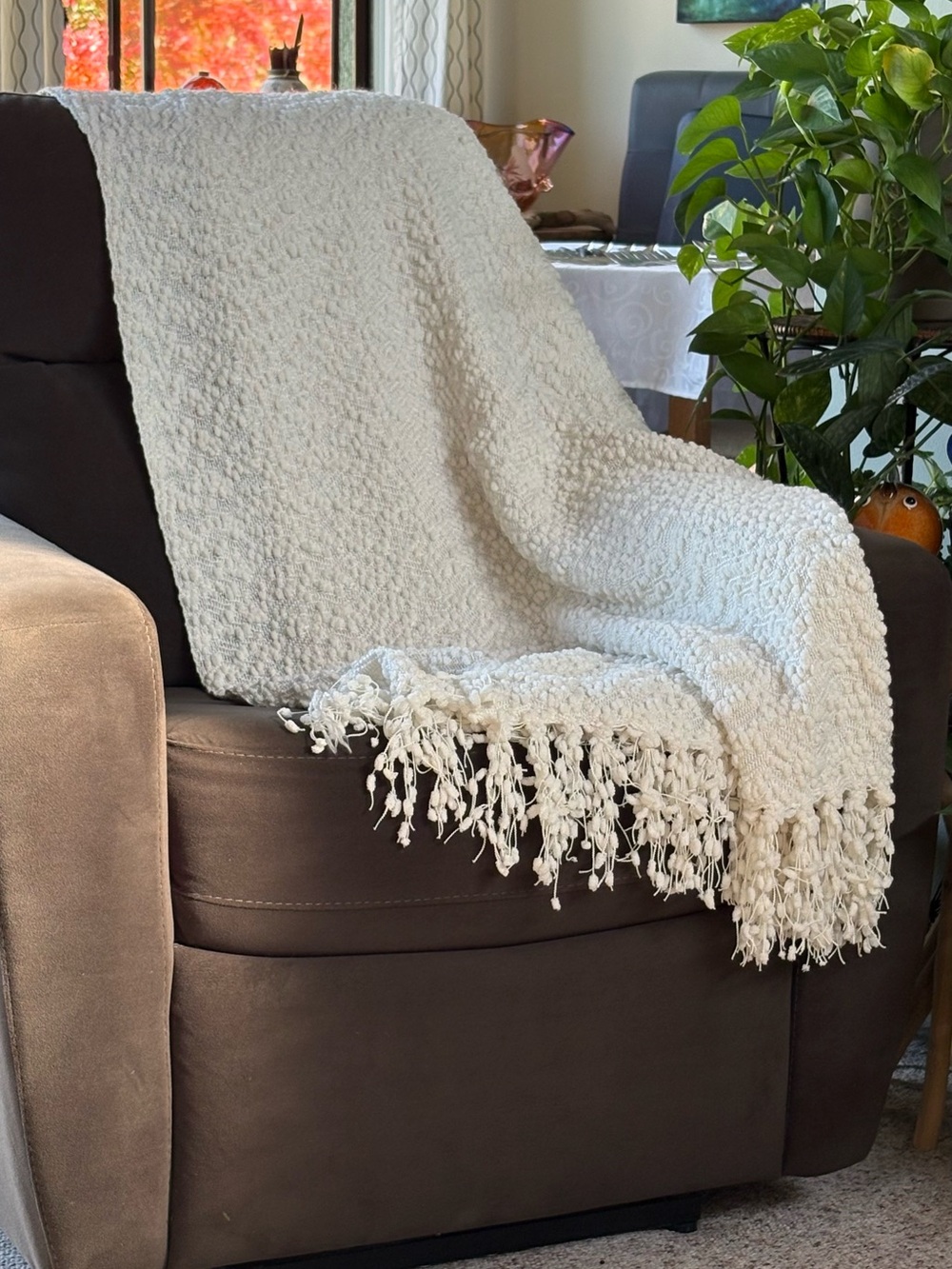 Cozy Cream Boucle Textured Throw Blanket with Fringe (51” x 64”)